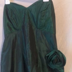 Pippin Prom Dress/wedding